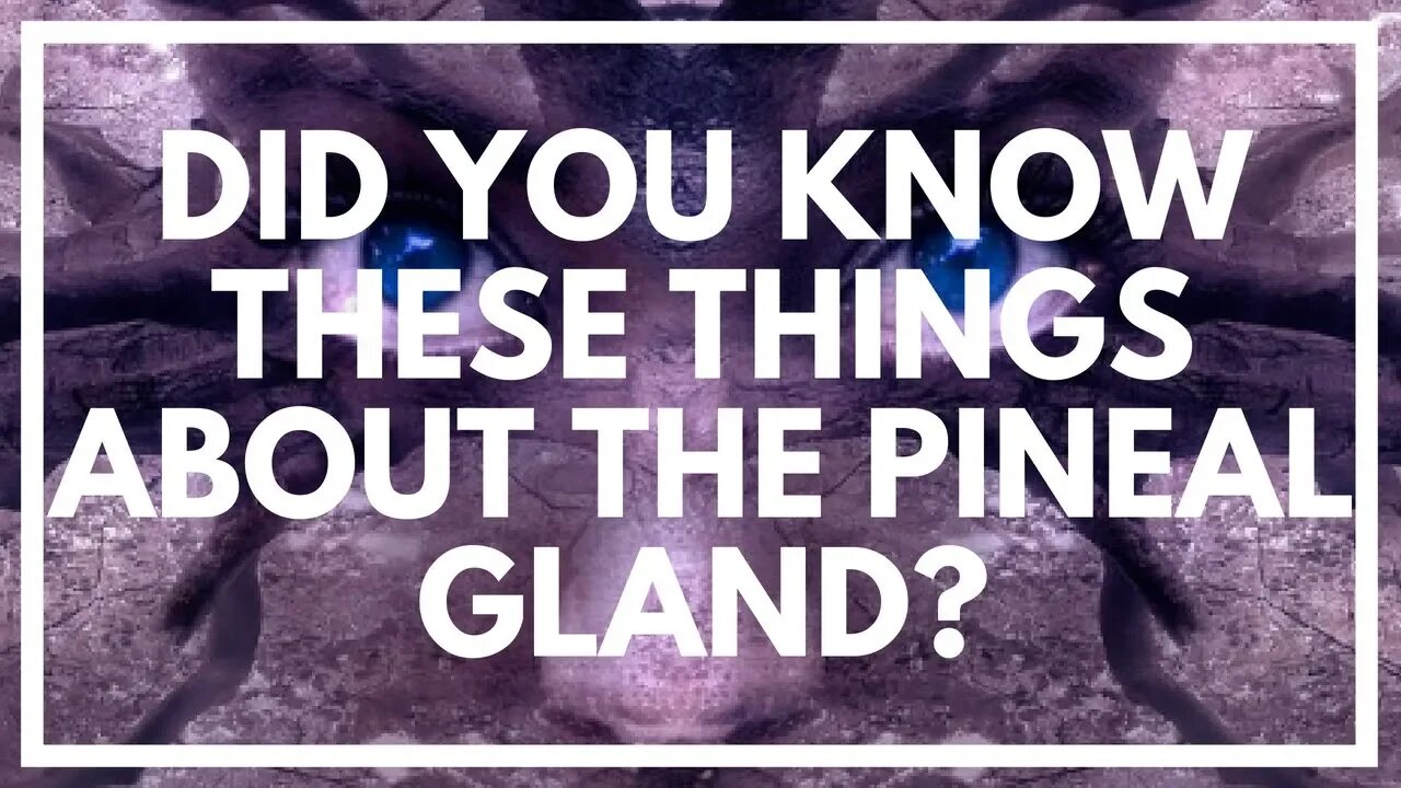 4 Incredible Secrets Of The Pineal Gland (The 'God' Organ)