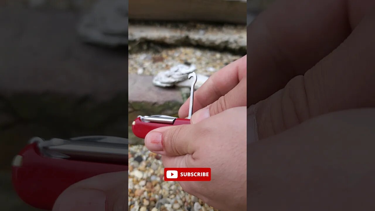 MOST IMPORTANT tools on a Swiss Army Knife #shorts #swissarmyknife #knifeshorts #everydaycarry