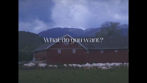 What is it to be human | SNEAKO