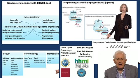 SynBio Guru Jennifer Doudna And Woody Hastings Explains Luciferase And CRISPR Cas9 Technology