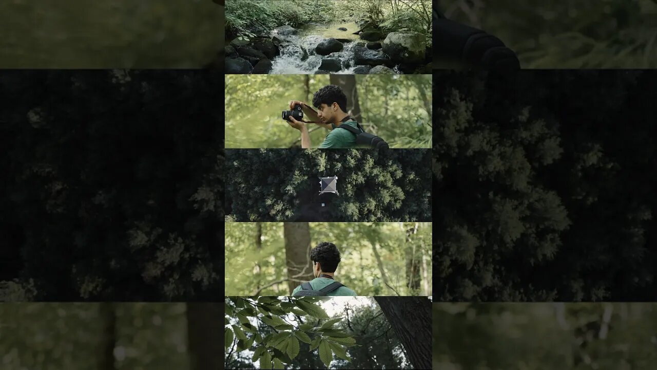 Nature.πΏπ #cinematic #viralvideo #creative