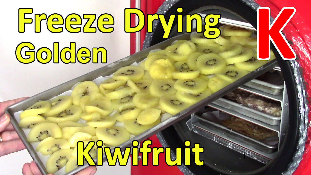 Freeze Drying SunGold Kiwifruit - Test Tray - Part 2 of 2