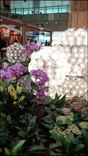 Changi airport Singapore