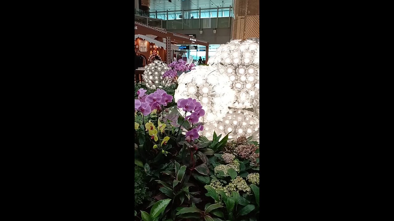 Changi airport Singapore