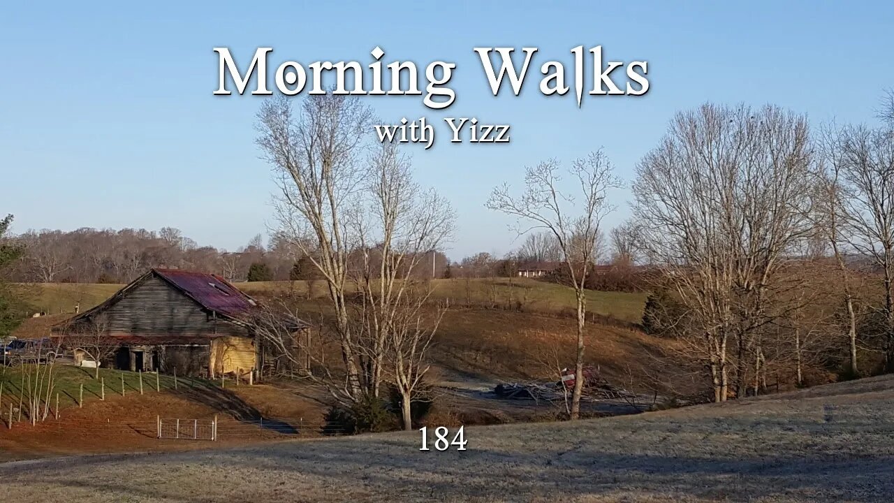 Morning Walks with Yizz 184