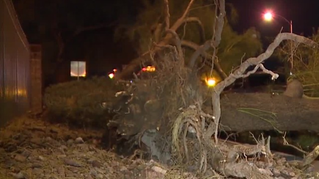 Trees fall on cars near Desert Inn Road, Cabana