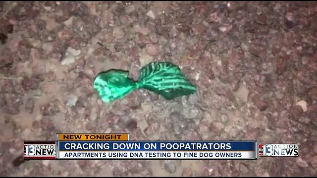 Cracking down on 'poop-a-trators' in Las Vegas apartments