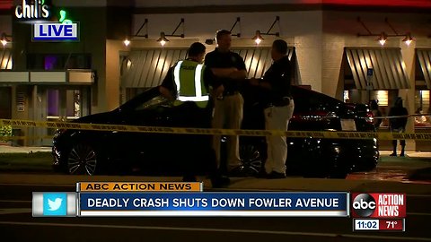 Deadly crash on Fowler Av