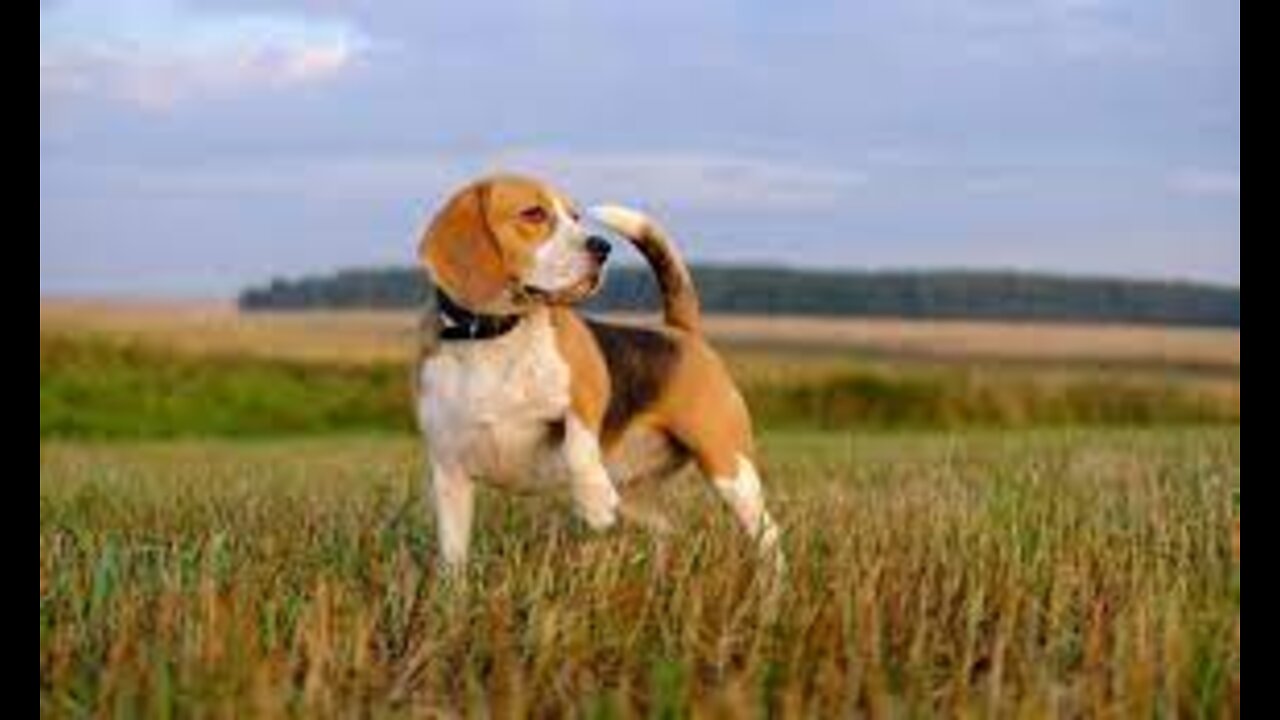 Coffee with MarkZ 04/06/2022