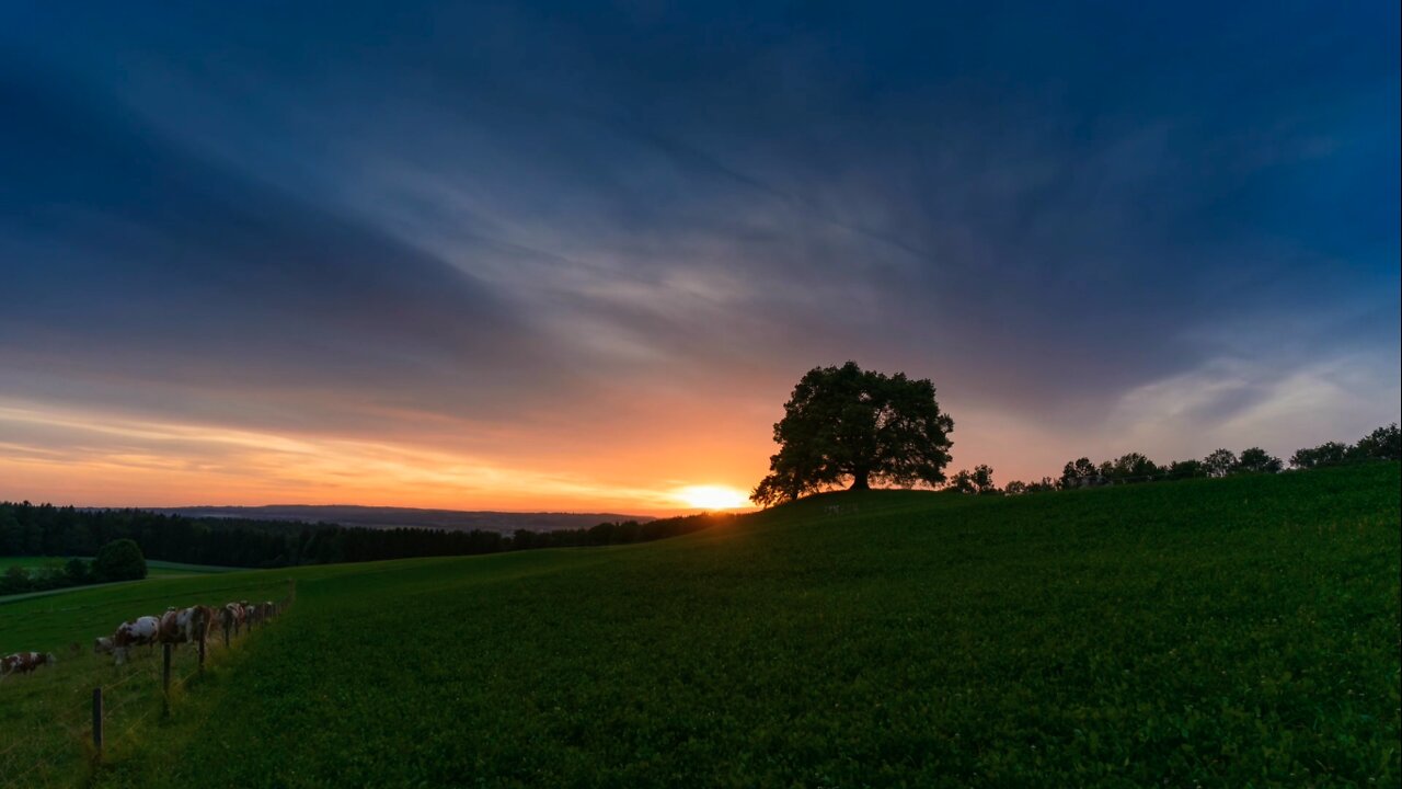 Amanhecer | Relaxamento Sensorial