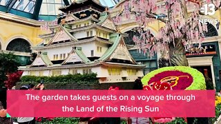 New display at Bellagio Conservatory