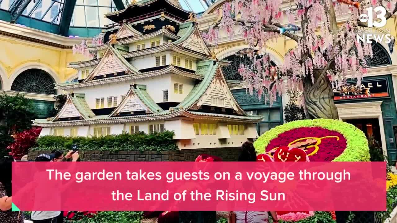New display at Bellagio Conservatory