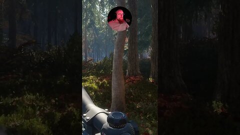 EZ Hunting #callofthewild #cotw #game #mrandmrswolfgaming #shorts