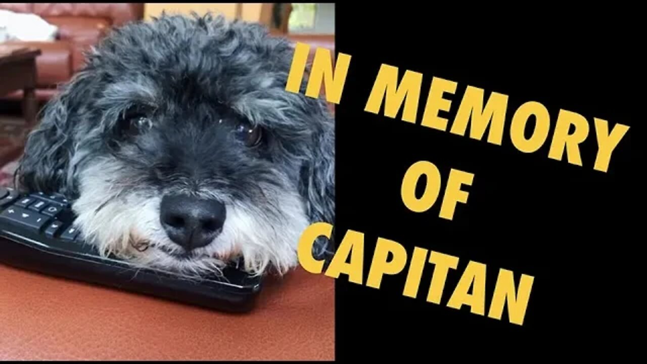 IN MEMORY OF CAPITAN