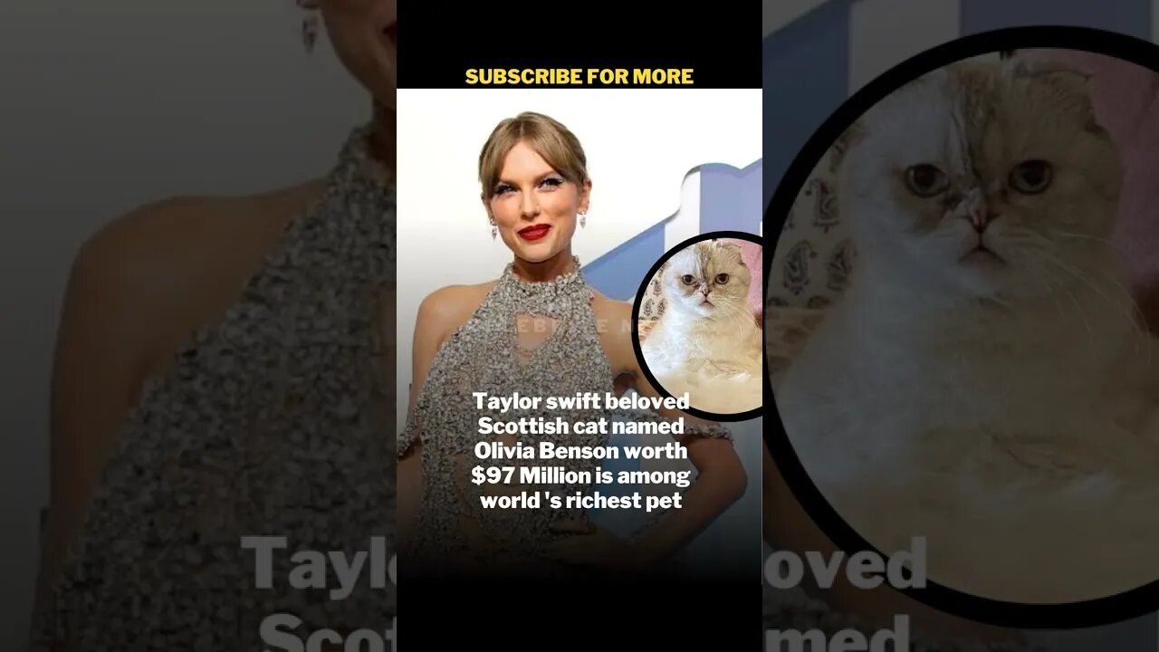 Taylor Swift cat is worth 97 million