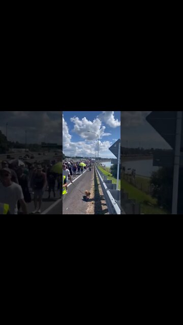 NEW ZEALAND 🇳🇿 IS DONE WITH JACINDA AND HER CRAP.