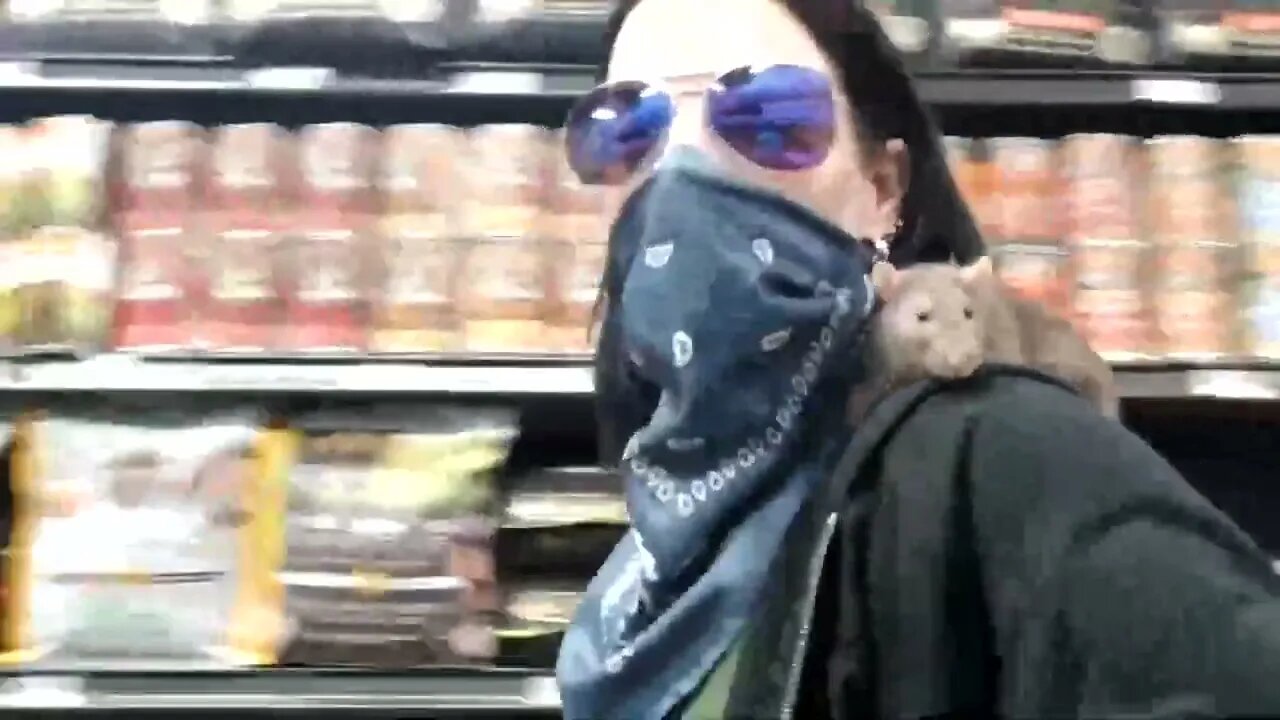 SHOPPING WITH MY PET RAT!