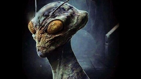Lake Okeechobee Alien Encounter
