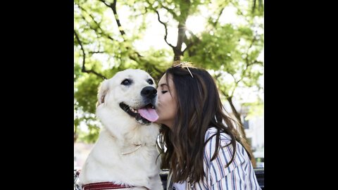 Best sounds your dogs love
