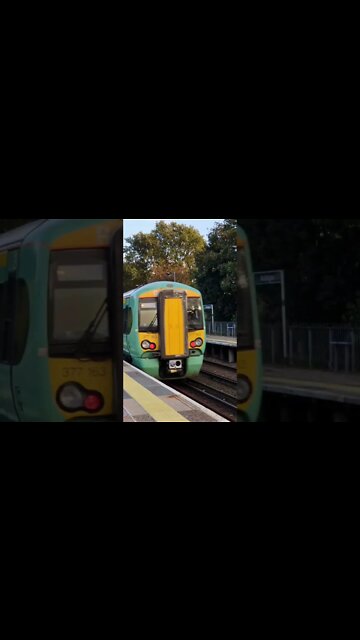 Well that made me jump! 😱😂 Sound up.