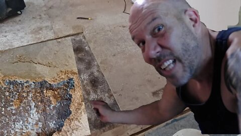 I Had To Replace My Sub Floor....And It Made Me SICK!