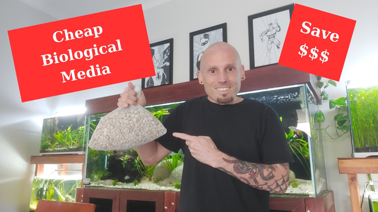 Cheap and effective biologicla media - Quick Tips