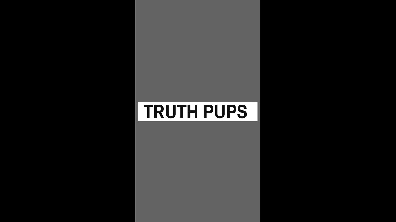 TRUTH PUPS NEWS 08/25/2024