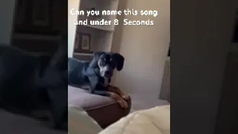 Can you name this song in seven 7 seconds? Sir Loons musical quiz on YouTube - He Demands Answers!