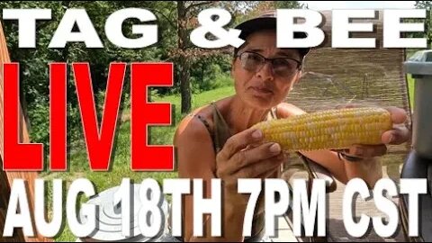 Tag and Bee Live