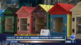 TIAA donating 50 little libraries