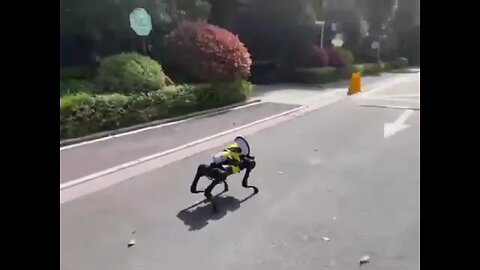 Robocop dog broadcasting lockdown protocols in ghost town Shanghai