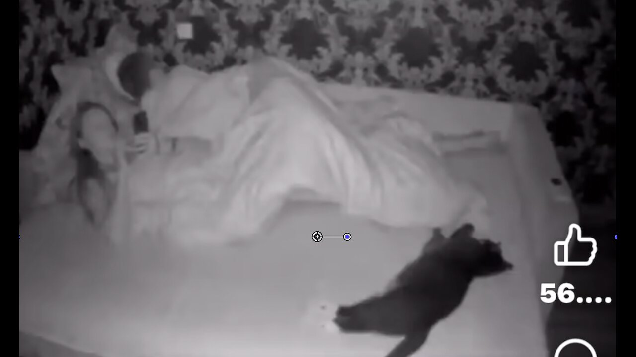 Now for something a little Cattywampus