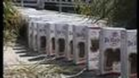 Hageldomino