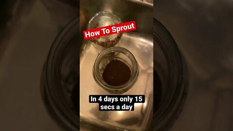 How to make sprouts!