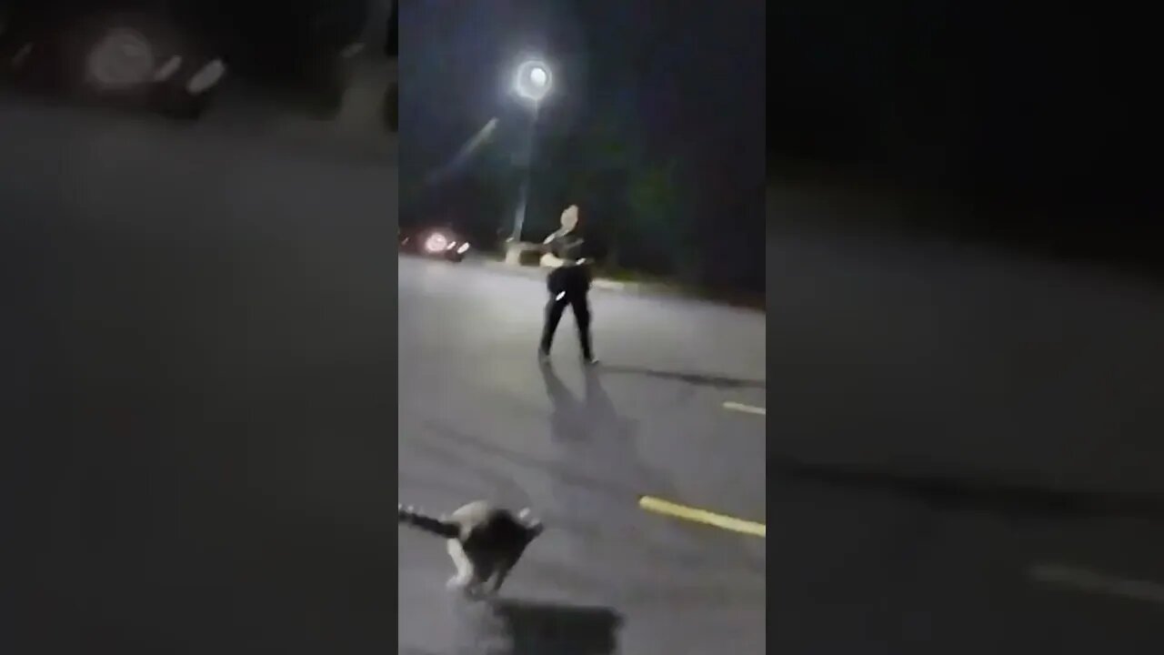 Watch Lemur on the loose! Video shows police chasing critter #shorts