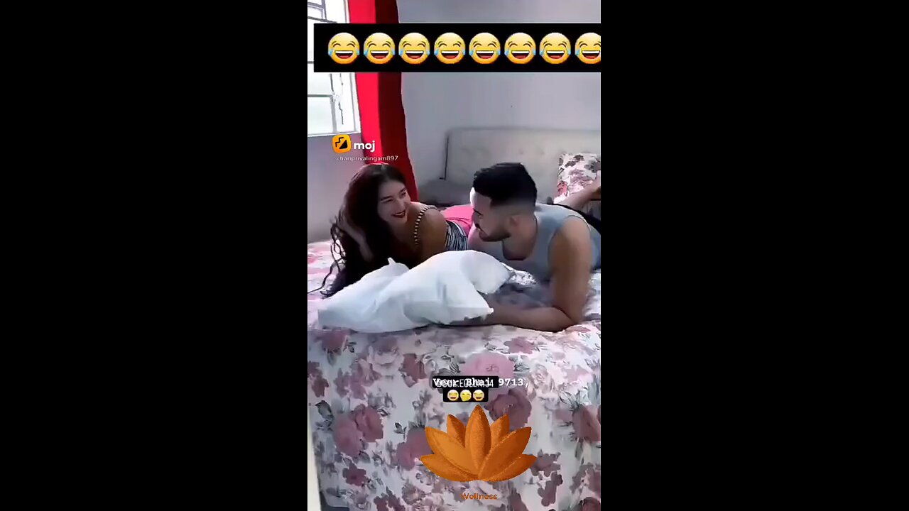 funny videos