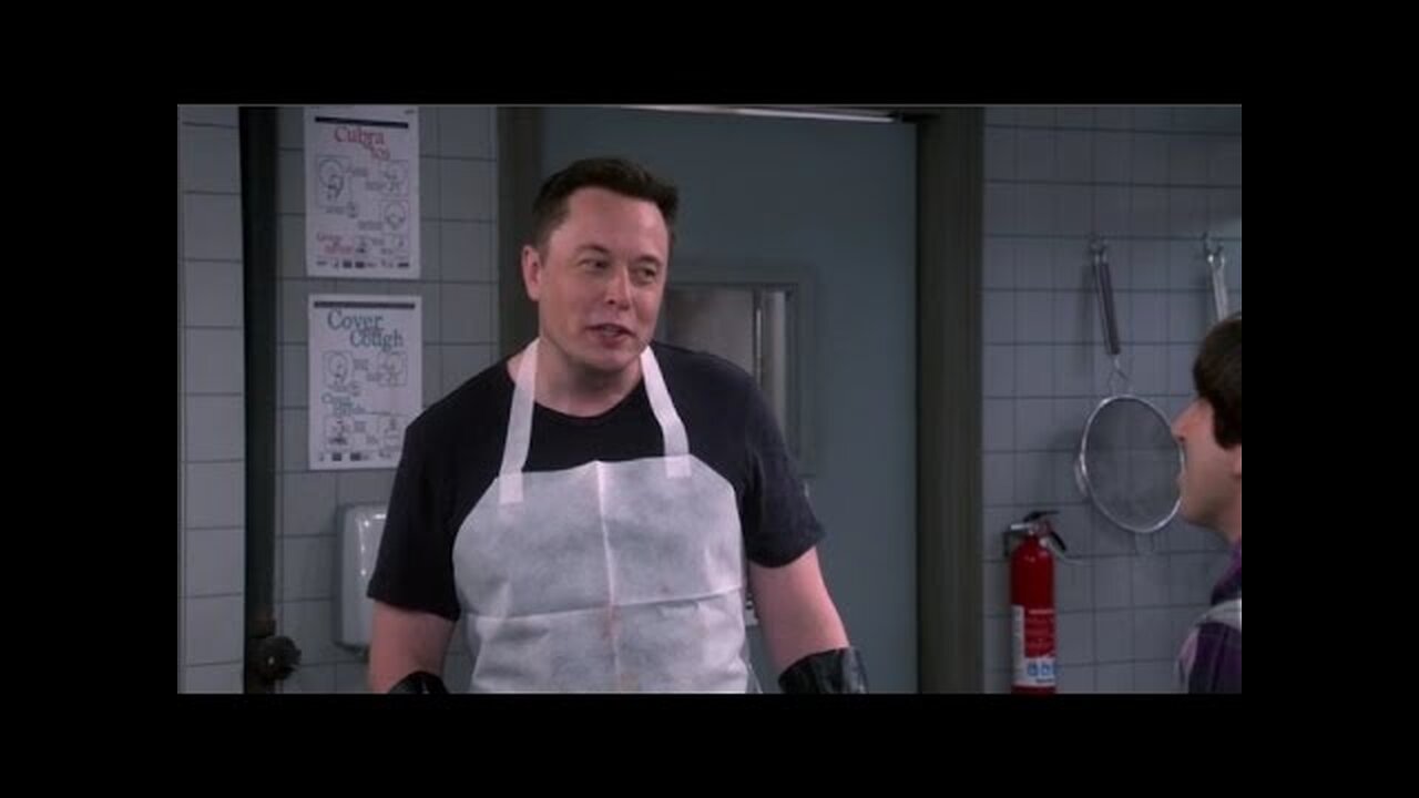 Elon Musk On The Big Bang Theory