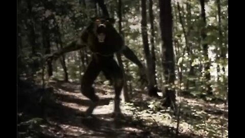 Werewolf Attack in the Woods