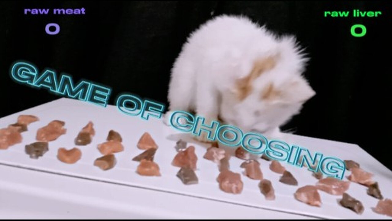 raw meat or raw liver What Will My kitten Choose?