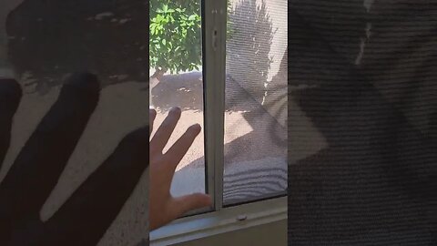 Proper fastner length for sun screens on windows is important