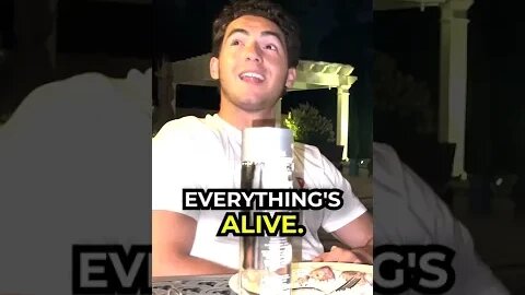 Understanding ALL THINGS are ALIVE!