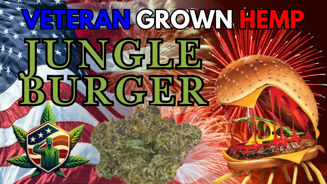 Trying Veteran Grown Hemp Jungle Burger THCa Flower Review