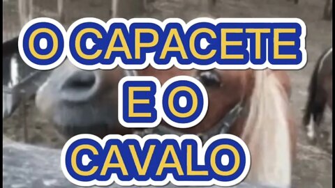 SHORT DAY: O CAPACETE E O CAVALO