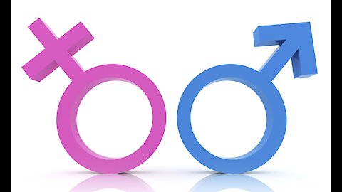 Gender and the Bible #10 - Wives