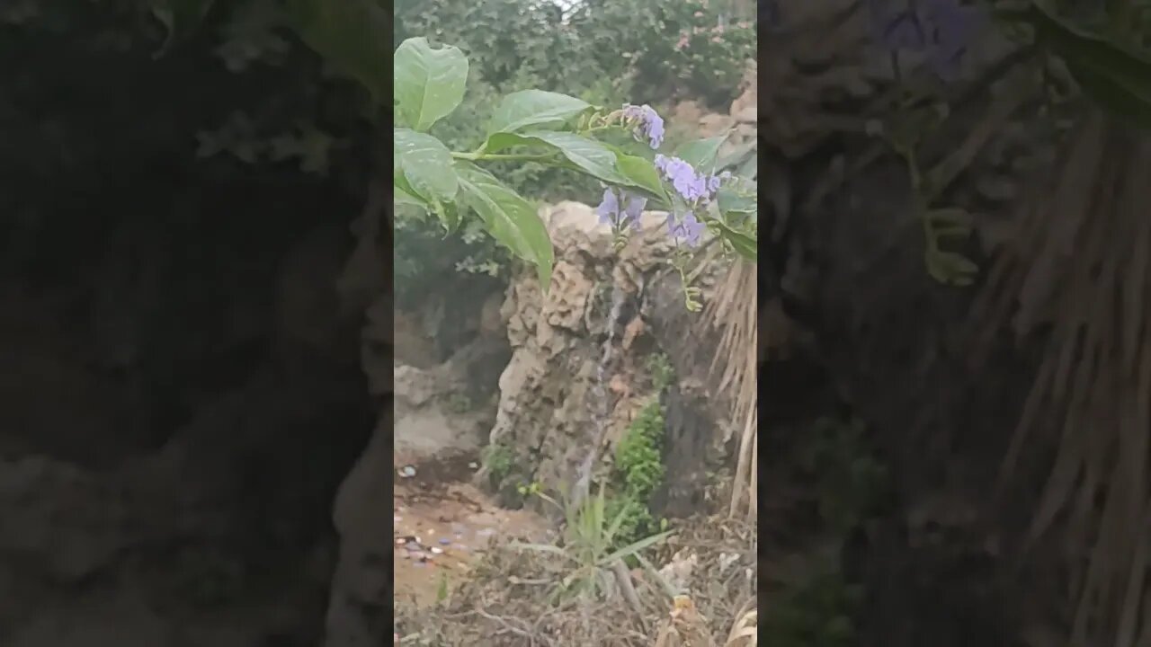 Watch This Wired Waterfall in Alexandria Ancient Waterfalls Garden