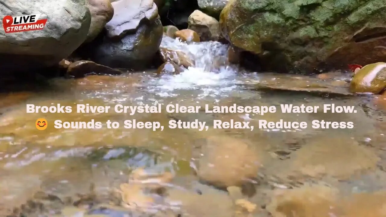 Brooks River Crystal Clear Landscape Water Flow. 😊 Sounds to Sleep, Study, Relax, Reduce Stress