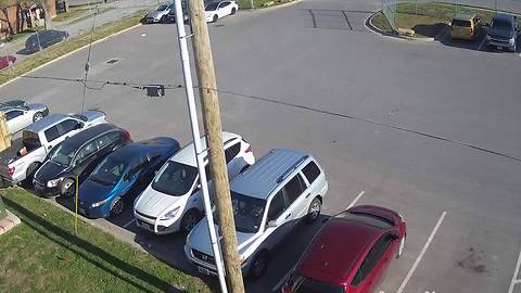 Surveillance video shows suspect in utility worker death