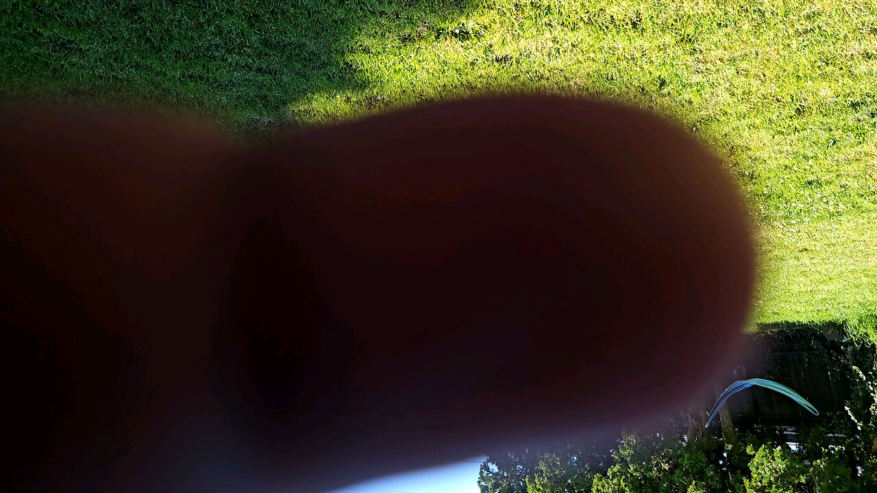 Donald Trump my story