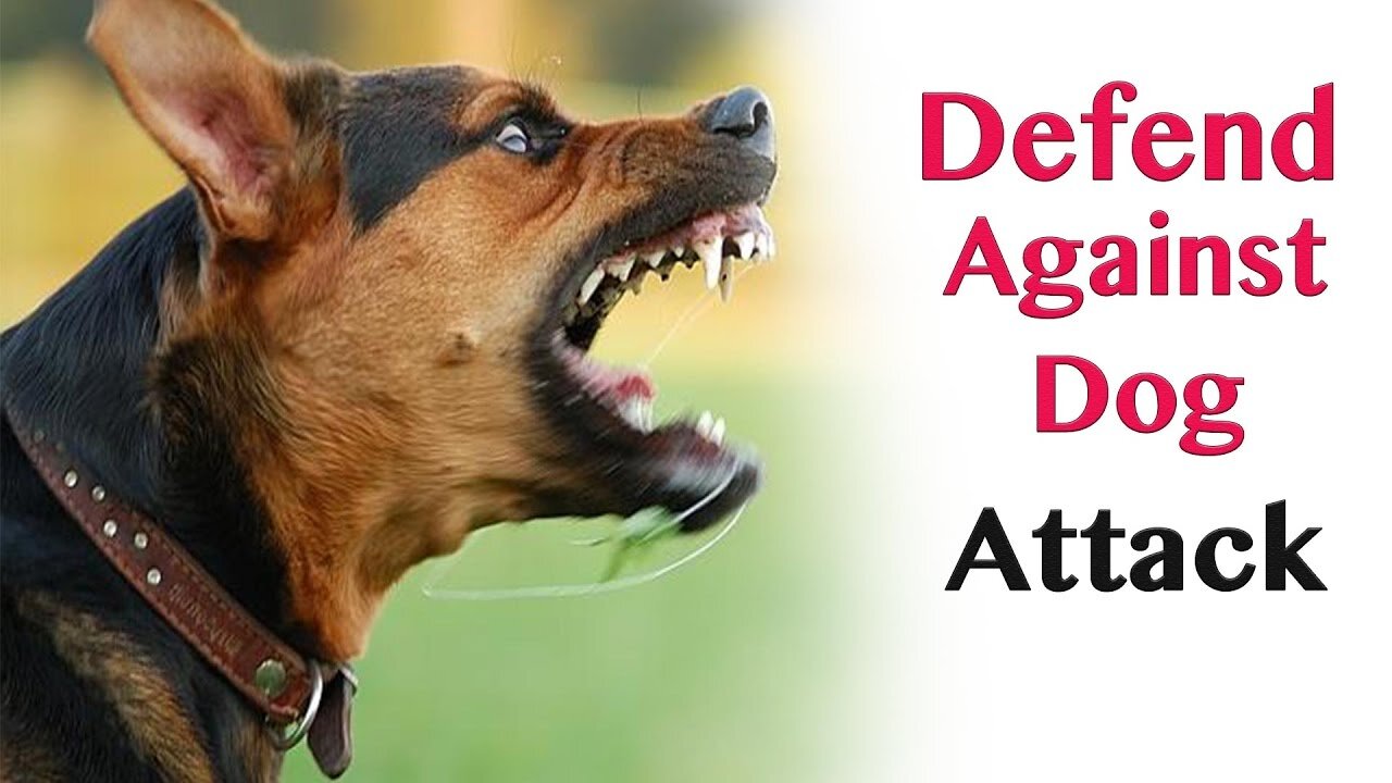 How to defend against a dog. Self defense dog attack!!!