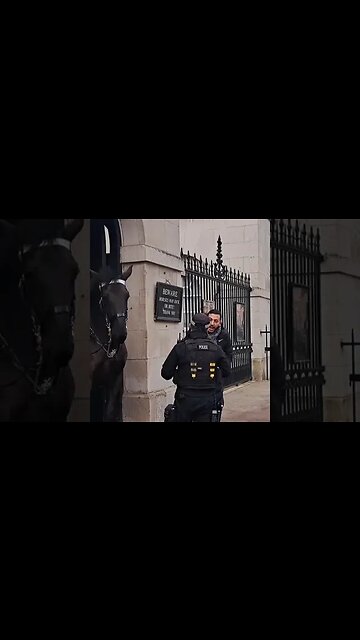 Police telling the tourist not to touch the Horse like that #horseguardsparade